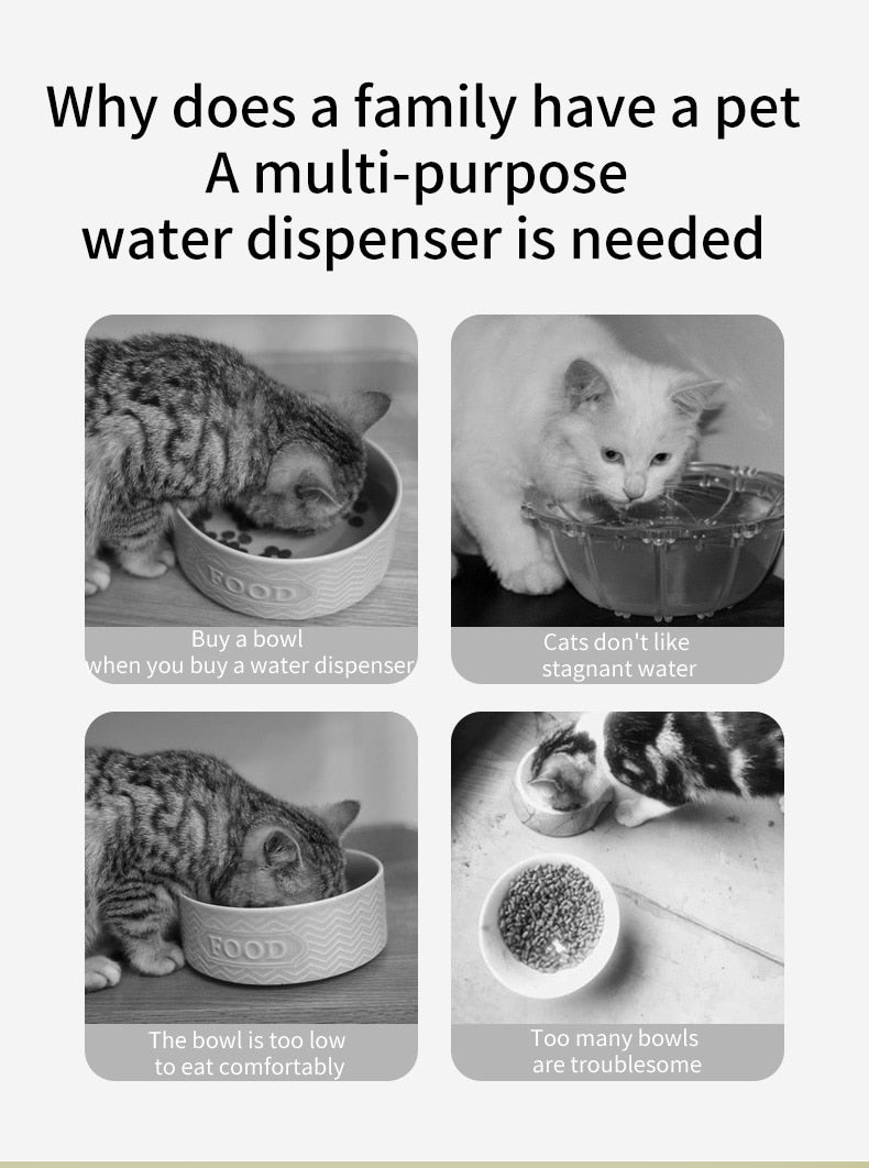 2in1 Cat Water Fountain Automatic