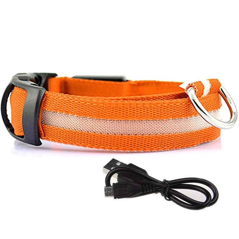 LED Glowing Dog Collars Rechargeable Waterproof