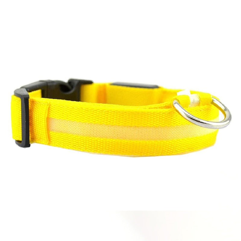 LED Glowing Dog Collars Rechargeable Waterproof