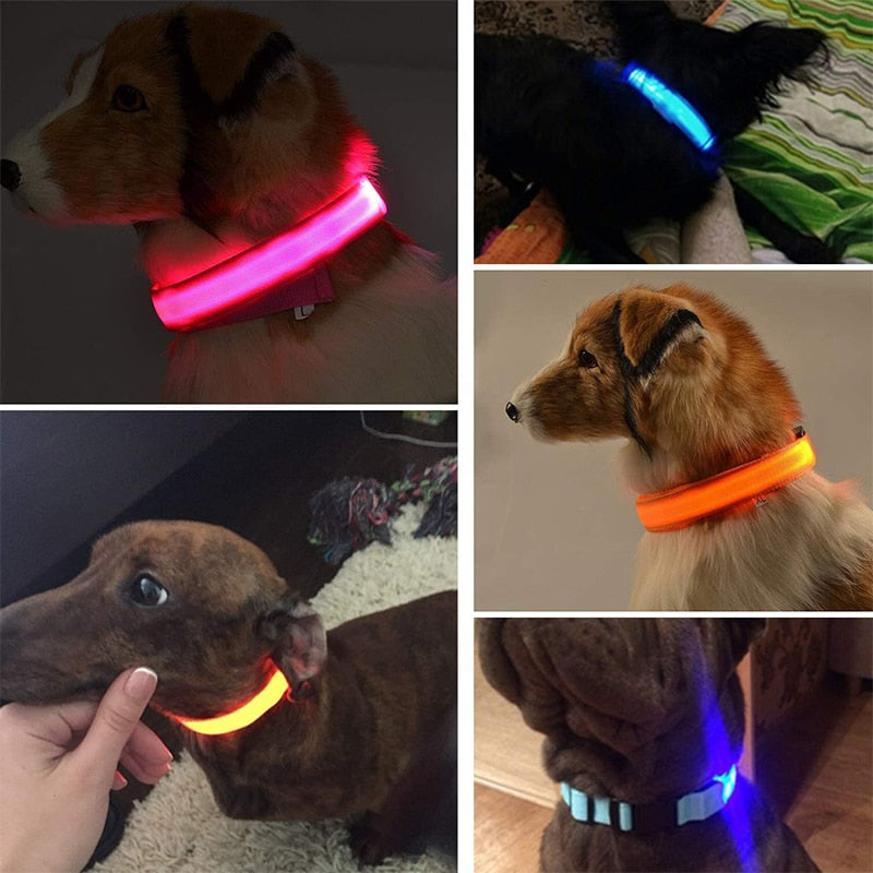 LED Glowing Dog Collars Rechargeable Waterproof