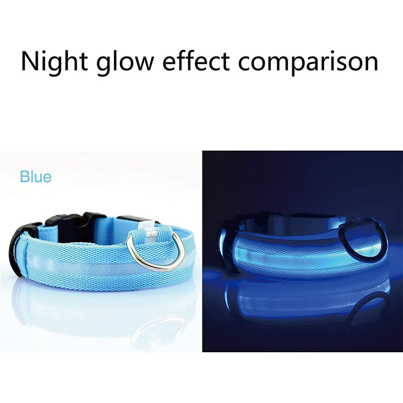 LED Glowing Dog Collars Rechargeable Waterproof