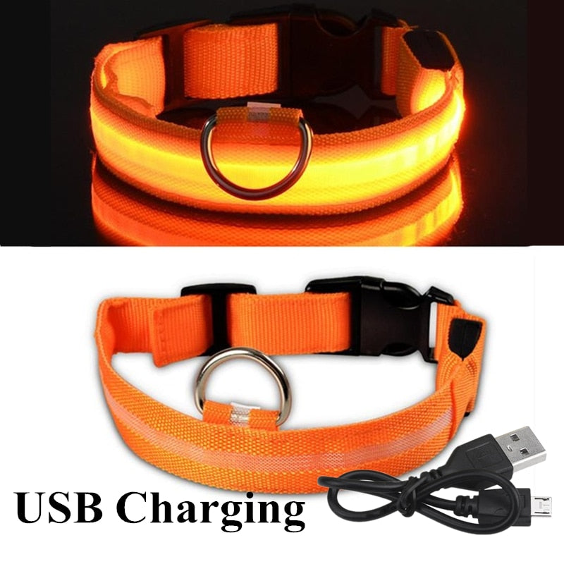 LED Glowing Dog Collars Rechargeable Waterproof