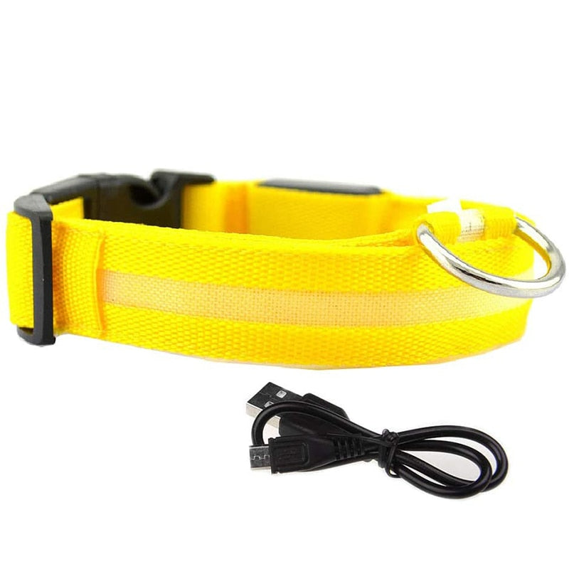 LED Glowing Dog Collars Rechargeable Waterproof