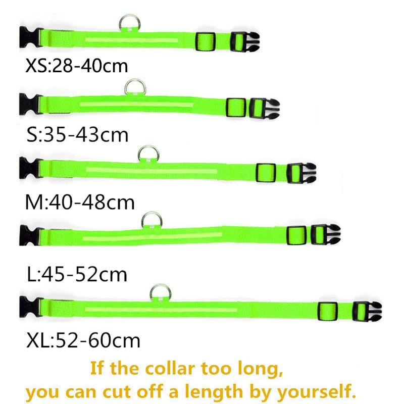 LED Glowing Dog Collars Rechargeable Waterproof