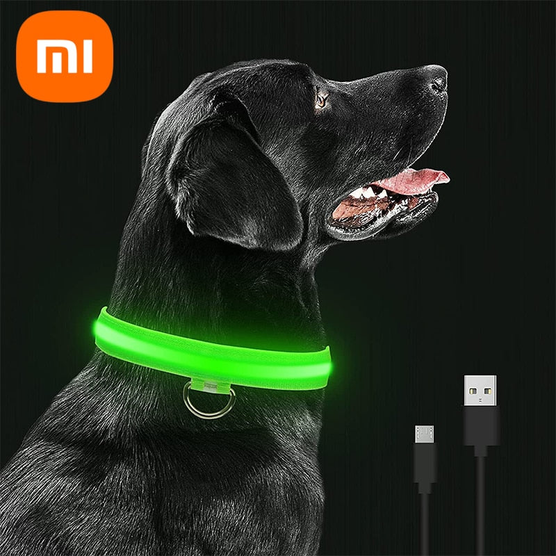 LED Glowing Dog Collars Rechargeable Waterproof